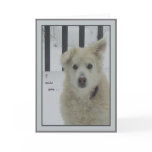 *Sandy Dog - I Miss You cards