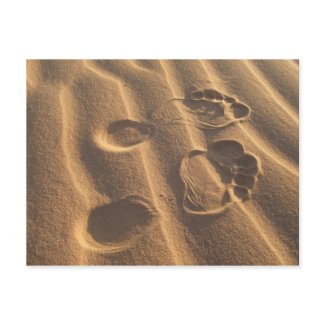 SANDY FEET postcard