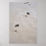 Sandy Feet Posters