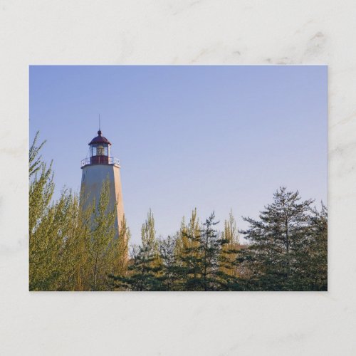 Sandy Hook III Lighthouse Postcard postcard