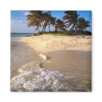 Sandy Island, Anguilla, Caribbean magnets