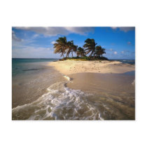 Sandy Island, Anguilla, Caribbean postcards by naturetees Sandy Island, Anguilla, Caribbean postcards