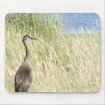 Sandy Look Ahead mousepads
