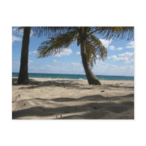 Sandy Palms Postcards