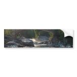 Sandy River Bumper Sticker