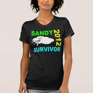 Sandy Survivor T-shirt