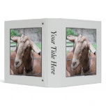 Sandy The Goat At The Gate Binders