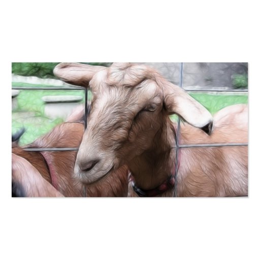 Sandy The Goat At The Gate Business Card Template (back side)