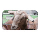 Sandy The Goat At The Gate Case-Mate iPhone 3 Case