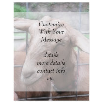 Sandy The Goat At The Gate Flyers