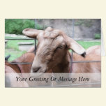 Sandy The Goat At The Gate cards