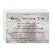 Sandy The Goat At The Gate Personalized Announcement