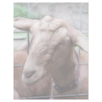 Sandy The Goat At The Gate Letterhead Design