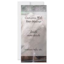 Sandy The Goat At The Gate Customized Rack Card