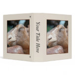 Sandy The Goat - Nap Time! 3 Ring Binders