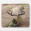 SANDY'S PLACE mousepads