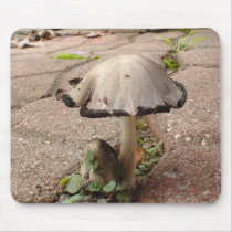 SANDY'S PLACE mousepads