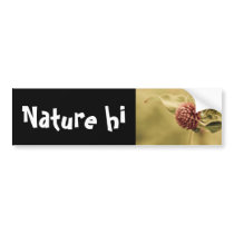 sane promise bumper stickers