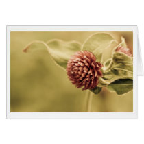 sane promise cards by blacqbook sane promise cards