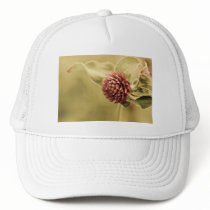 sane promise trucker hats