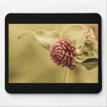 sane promise mousepads