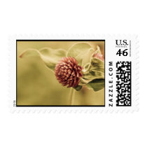 sane promise postage