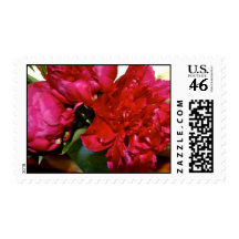 Sangre stamp