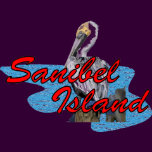 sanibel pelican