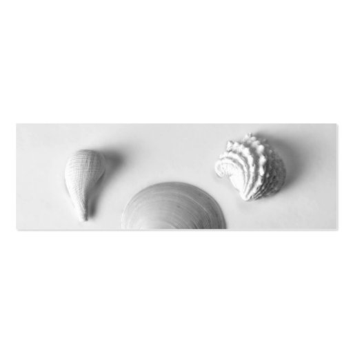 Sanibel Seashells Business Card Templates (front side)