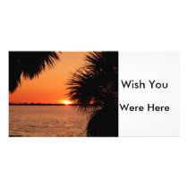 Sanibels sleeping sun photo cards by Debrene Sanibels sleeping sun photo cards