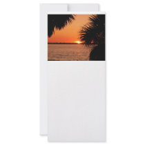 Sanibels sleeping sun rack cards