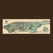 Sanitary and Topographical Map of New York City posters