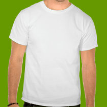 Sanity within insanity t-shirts