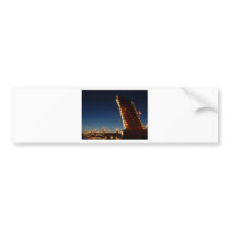 Sankt Petersburg 77 Bumper Stickers