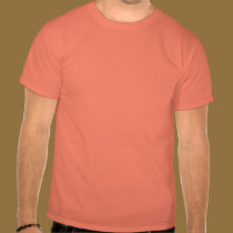 Sanskrit Aum t-shirts