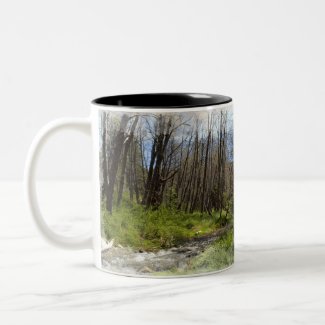 Santa Ana River Mug mug