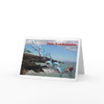Santa and Dolphins Mele Kalikimaka Card