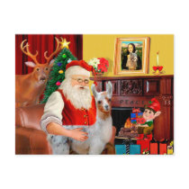 Santa and his Baby Llama Post Cards