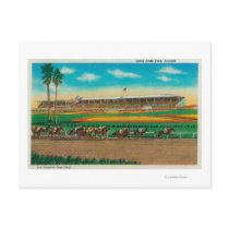 Santa Anita Park Horse RacesArcadia, CA Postcard