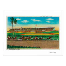 Santa Anita Park Horse RacesArcadia, CA Postcard