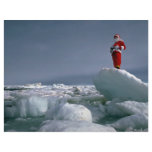 Santa at the pole flyers