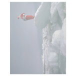 Santa at the pole letterhead