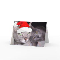 Santa Attidude Kitty cards by Incatneato Santa Attidude Kitty cards