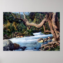 Santa Barbara California Oak Park Posters