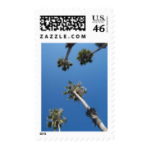 Santa Barbara Palm Trees postage by LisaWeiss Santa Barbara Palm Trees postage