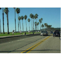 Santa Barbara Palmtrees Road photo sculptures by lifesphere Santa Barbara Palmtrees Road photo sculptures
