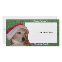 Santa Beagle Photo Card photo cards