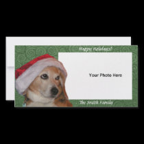 Santa Beagle Photo Card photo cards