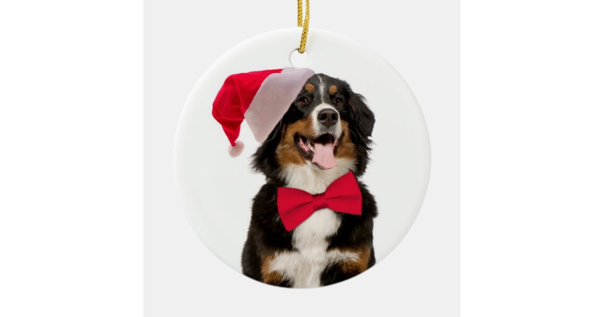 28 best berner christmas santa berner christmas 28 best berner christmas santa berner christmas