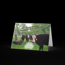 Santa Bull Christmas Card